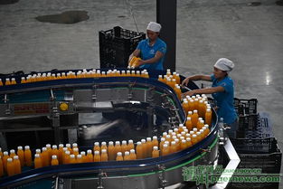 多上果汁年产20万吨新工厂投产